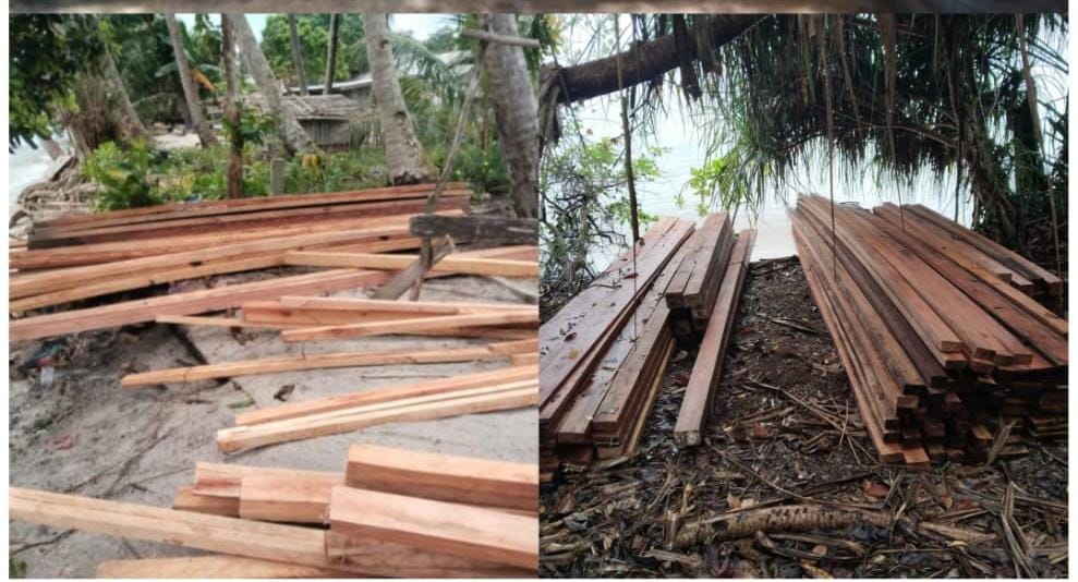 LAMI Kepri Desak Tangkap Pengusaha Ilegal Kayu di Lingga