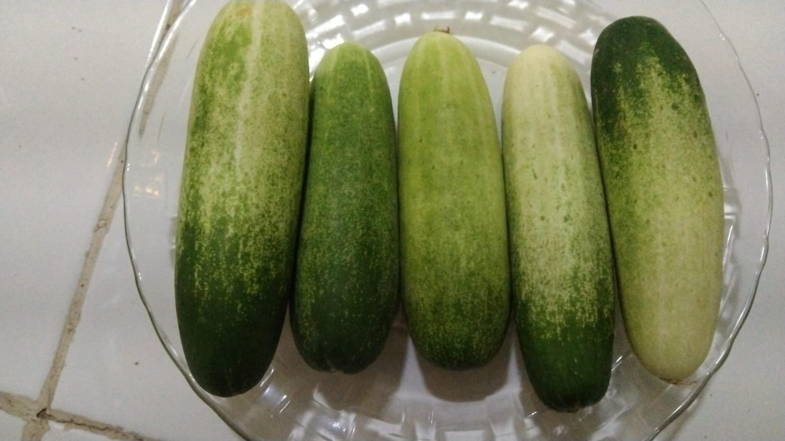 Khasiat Buah Ketimun: Menghidrasi Tubuh hingga Mengurangi Stres