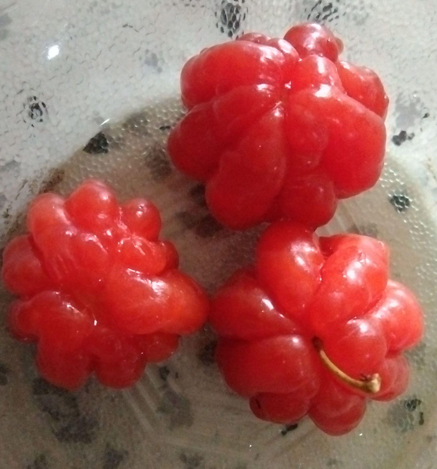 Kemewahan Buah Ceri Belanda : Cantik Di Mata,Kaya Manfaat Bagi Tubuh