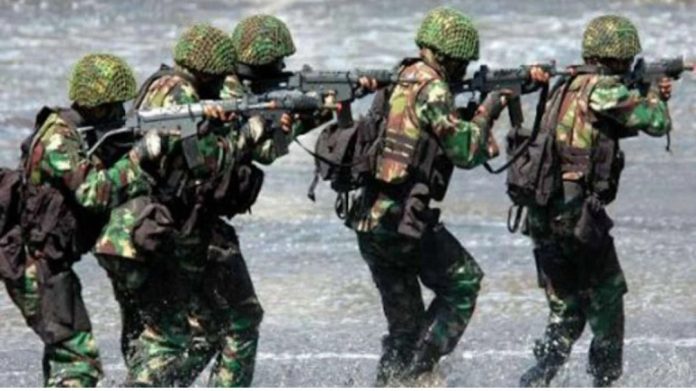 Satgas TNI Bongkar Ladang Ganja Terhubung KKB di Pegunungan Bintang