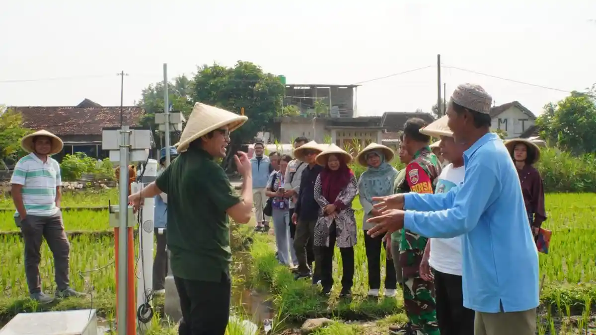 Teknologi AI Mulai Diterapkan di Sektor Pertanian, Bantu Petani Kelola Irigasi dan Tingkatkan Hasil Panen