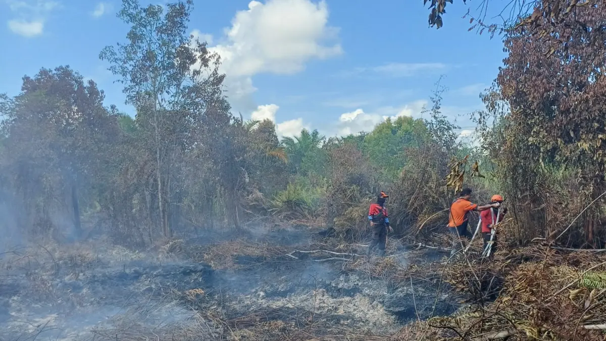 Kebakaran Lahan di Dekat Bandara H Asan Meluas, Diduga Dipicu Unsur Kesengajaan