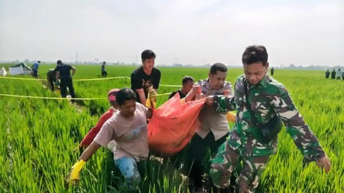 Kronologi Pembunuhan Perangkat Desa di Pekalongan Terungkap, Korban Ditemukan Tewas di Area Persawahan