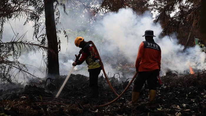 Pemadaman Karhutla di Kubu Raya Terus Digencarkan, Petugas Berjuang Kendalikan Api di Tengah Status Siaga Darurat