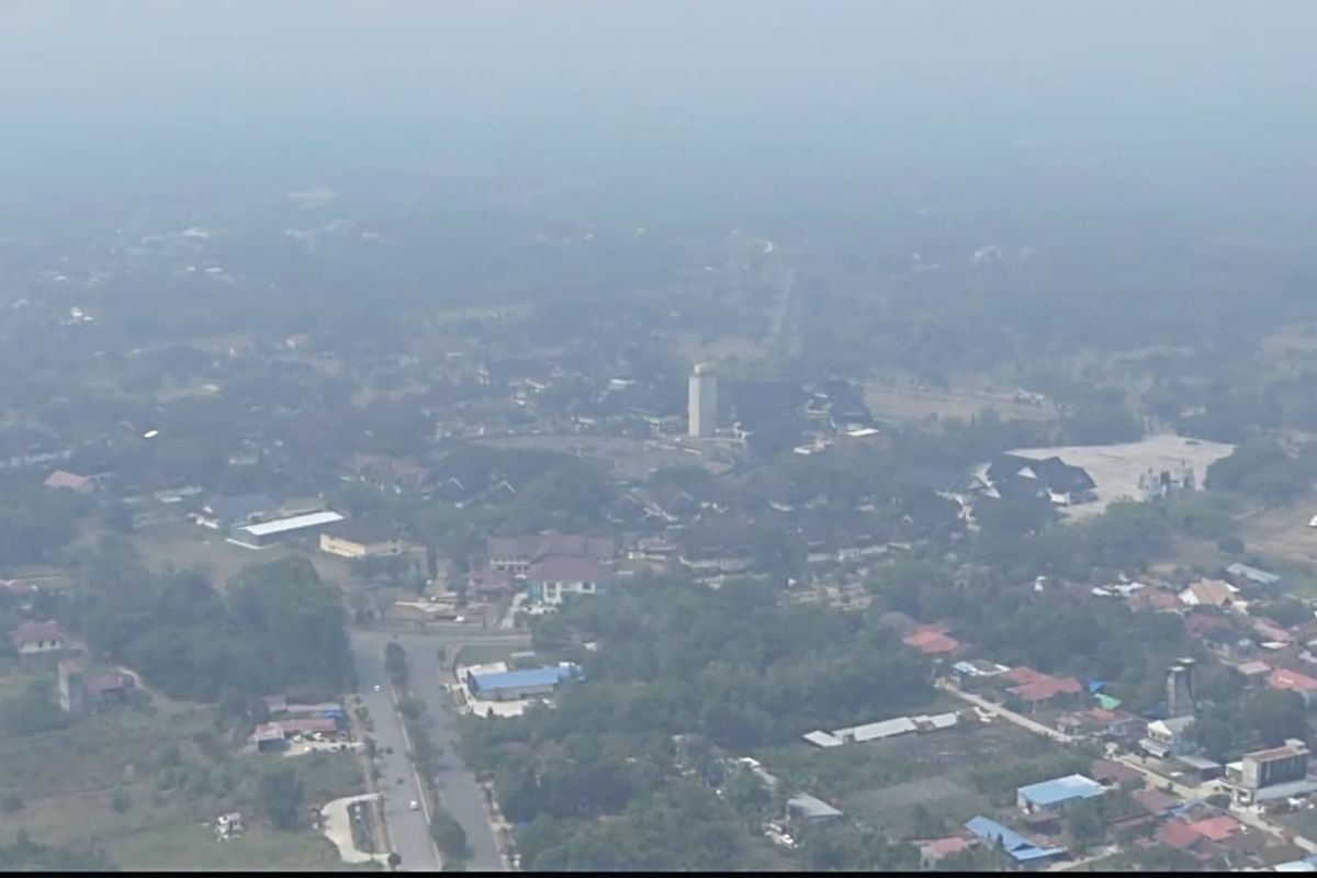 Anggota DPR Dorong Karhutla Kalimantan Ditetapkan sebagai Bencana Nasional