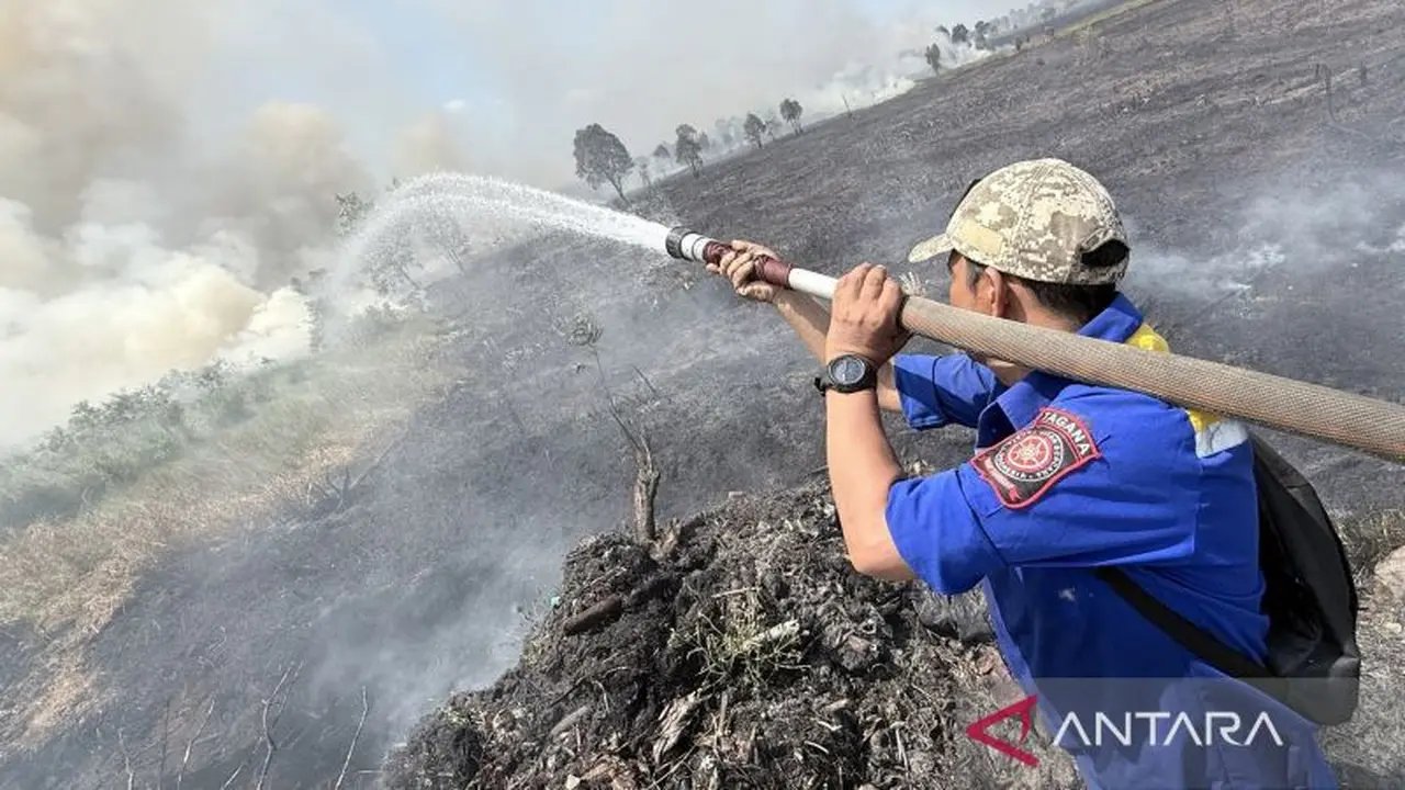 Asap Kebakaran Hutan Kalsel Makin Parah, Utara Bandara Jadi Fokus