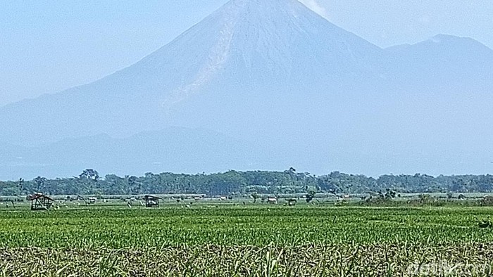 Gunung Semeru Dua Kali Erupsi Pagi Ini, Tinggi Letusan Capai 700 Meter