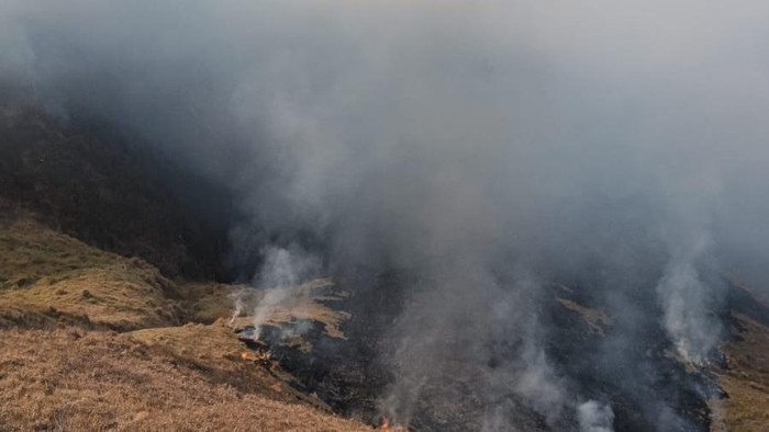 Kebakaran Gunung Bromo Meluas hingga 120 Hektare, Helikopter Water Bombing Disiapkan Percepat Pemadaman