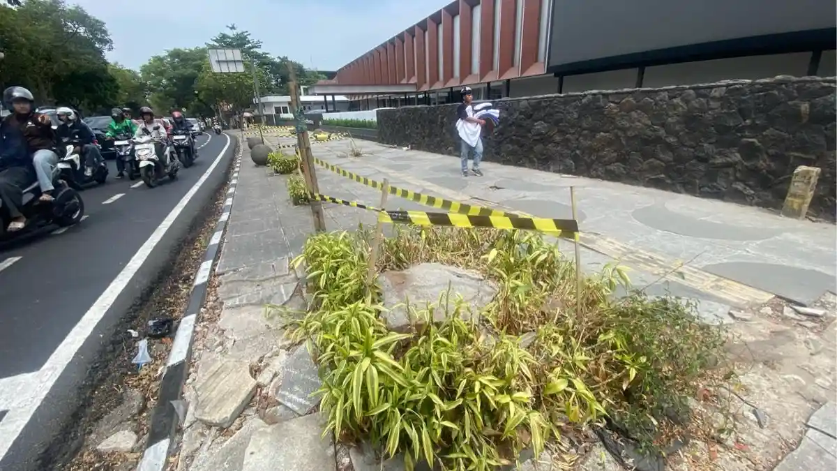 Marak Penebangan Pohon Tanpa Izin di Bandung, Pelaku Terancam Denda hingga Rp10 Juta untuk Setiap Pohon