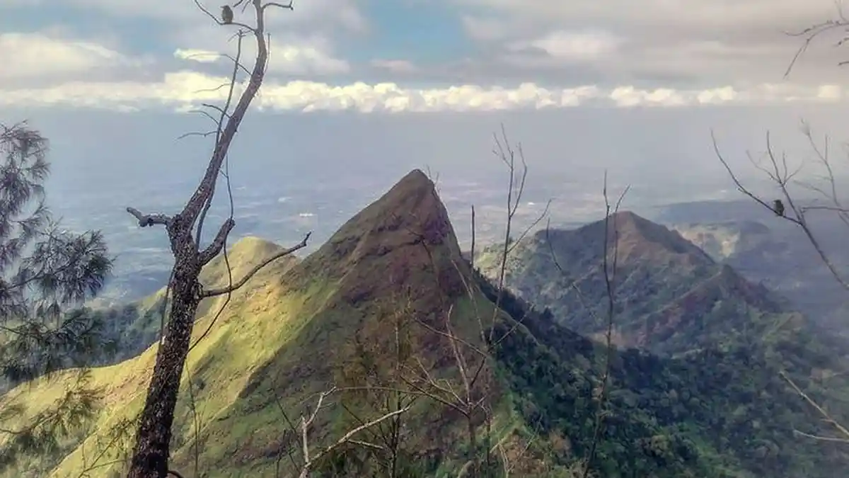 Pendaki dan Pemandu Lokal Ditemukan Meninggal di Dasar Jurang Gunung Piramid Bondowoso