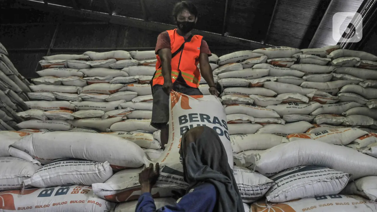 Stok Beras Nasional Tembus 5,1 Juta Ton, Catat Rekor Tertinggi