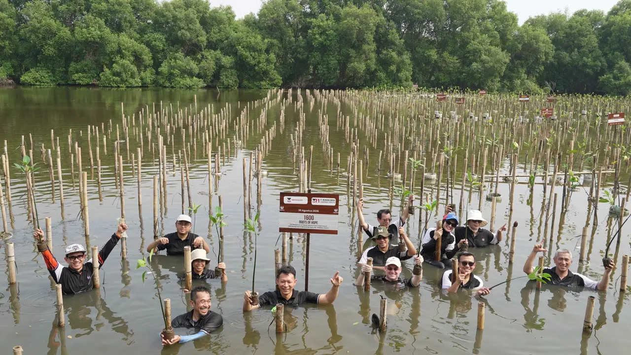 14.000 Mangrove Ditanam, Jadi Benteng Alami Pesisir Kubu Raya