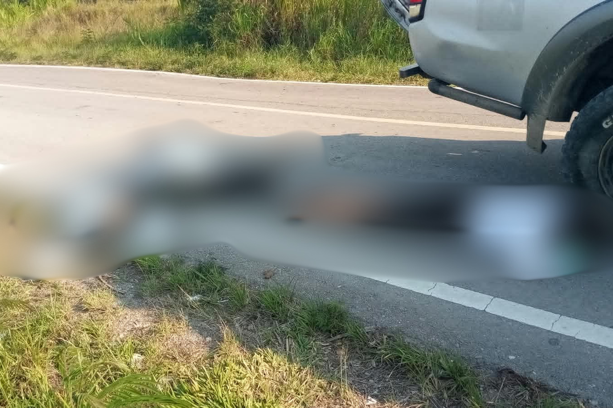 3 ASN Jayawijaya Tewas Ditembak KKB, Diadang Saat Pulang dari Tinjau Cetak Sawah