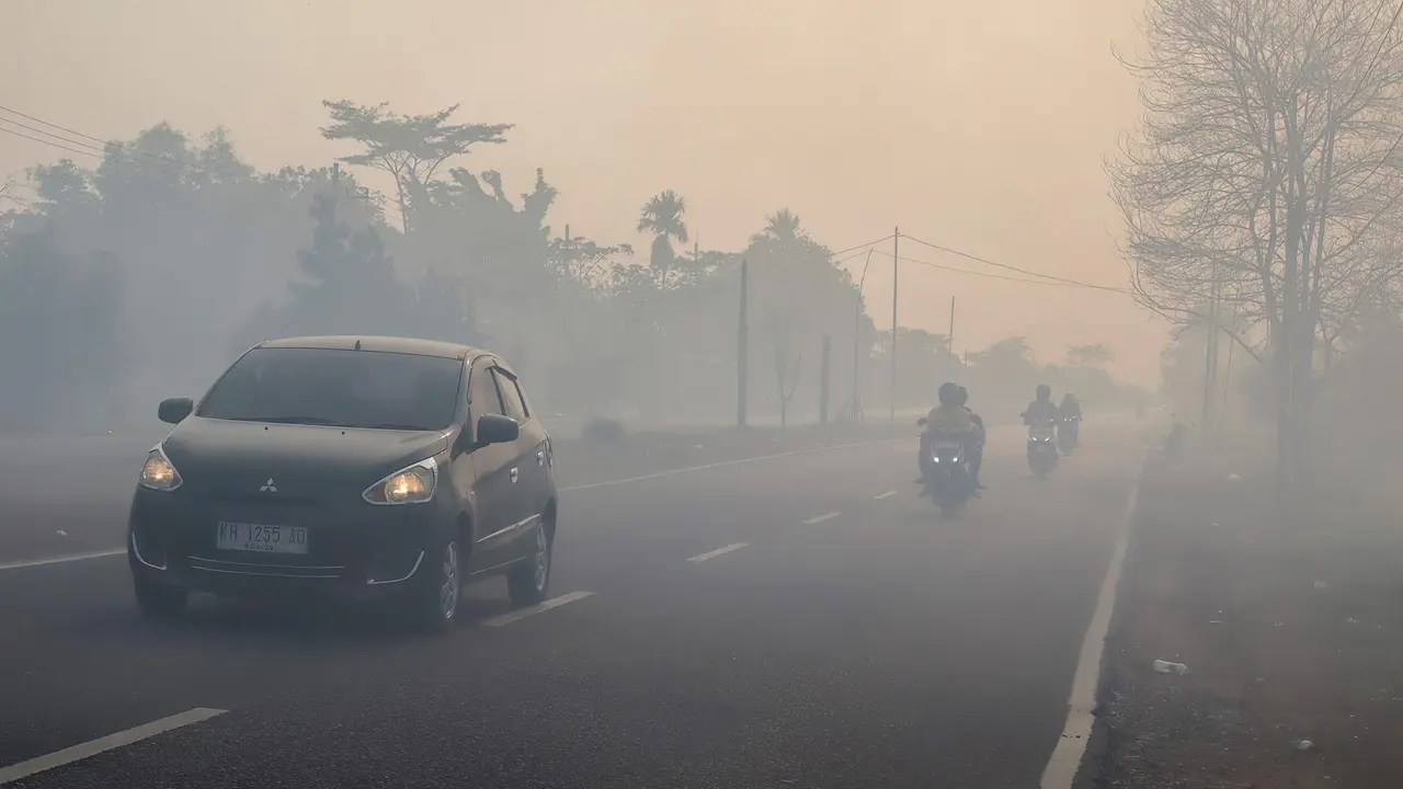 BNPB Ungkap Kualitas Udara di Sejumlah Wilayah Kalimantan Masuk Kategori Berbahaya akibat Karhutla