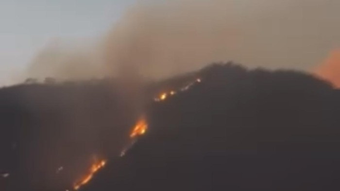 Cagar Alam Merapi Ungup-Ungup Ijen Terbakar, Api Terlihat dari Permukiman Warga