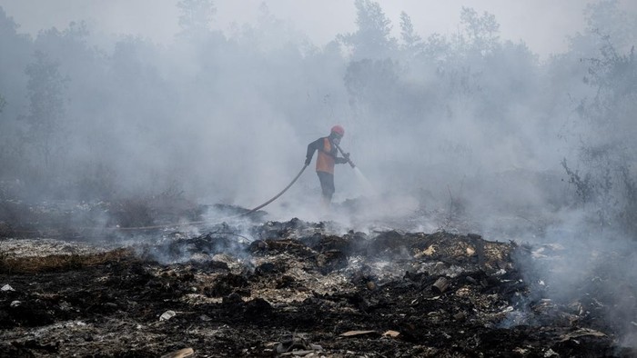 Lahan Gambut di Banjar Terbakar, Petugas Gabungan Berjibaku Kendalikan Api