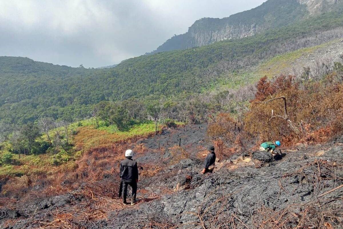 Pendakian Gunung Gede Pangrango Ditutup Hingga Waktu Tak Ditentukan, Ini Alasannya