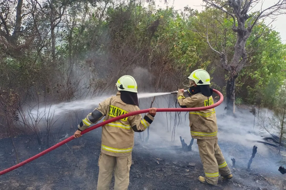 Puntung Rokok Diduga Jadi Pemicu Kebakaran Lahan Seluas 300 Meter Persegi di Pulau Tidung