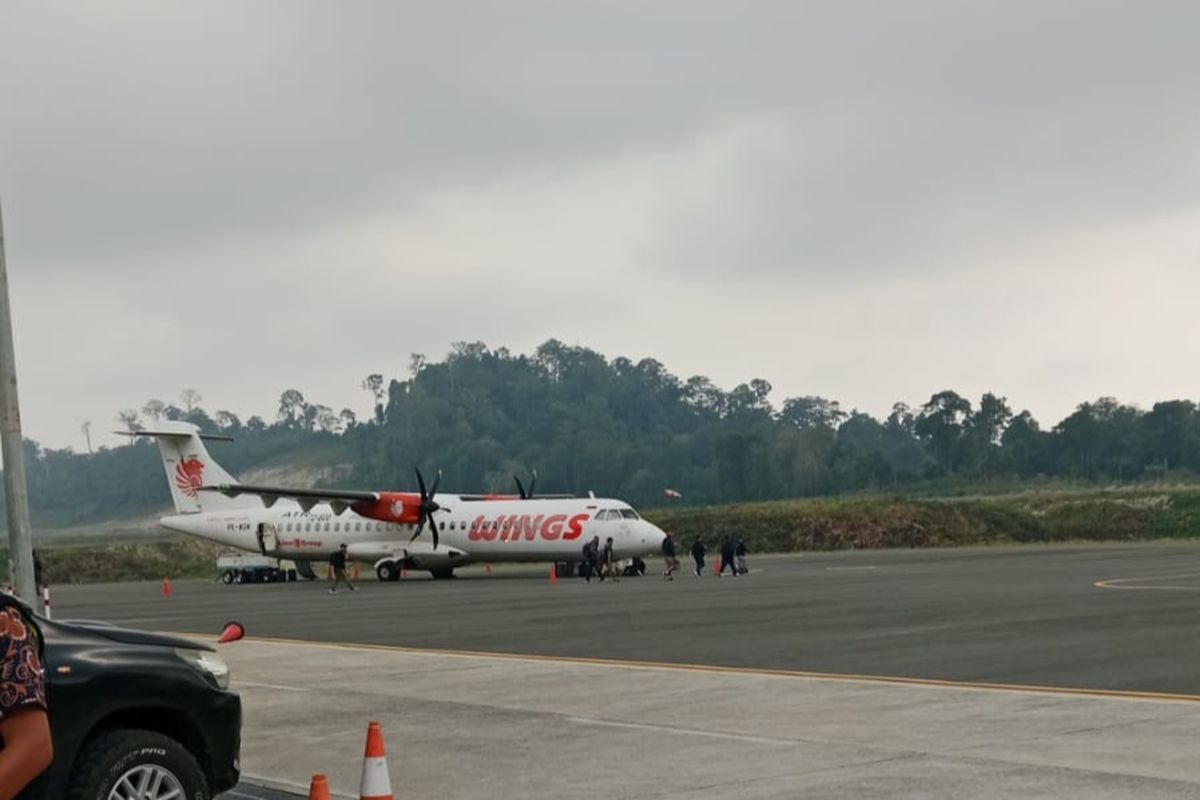 Asap Karhutla Selimuti Papua Barat, Penerbangan Terganggu