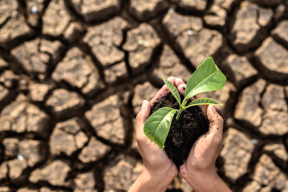 Dunia Mulai Beradaptasi dengan Panas Ekstrem, Namun Masih Sangat Lambat