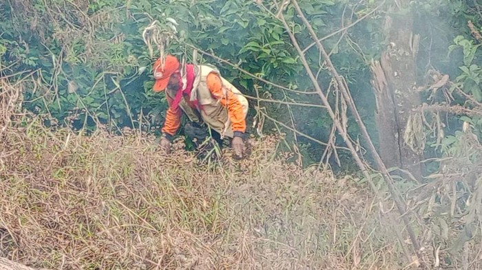 Kebakaran Hutan Terjadi di Pandesari Pujon Malang, Penanganan dan Dampak Lingkungan Jadi Perhatian