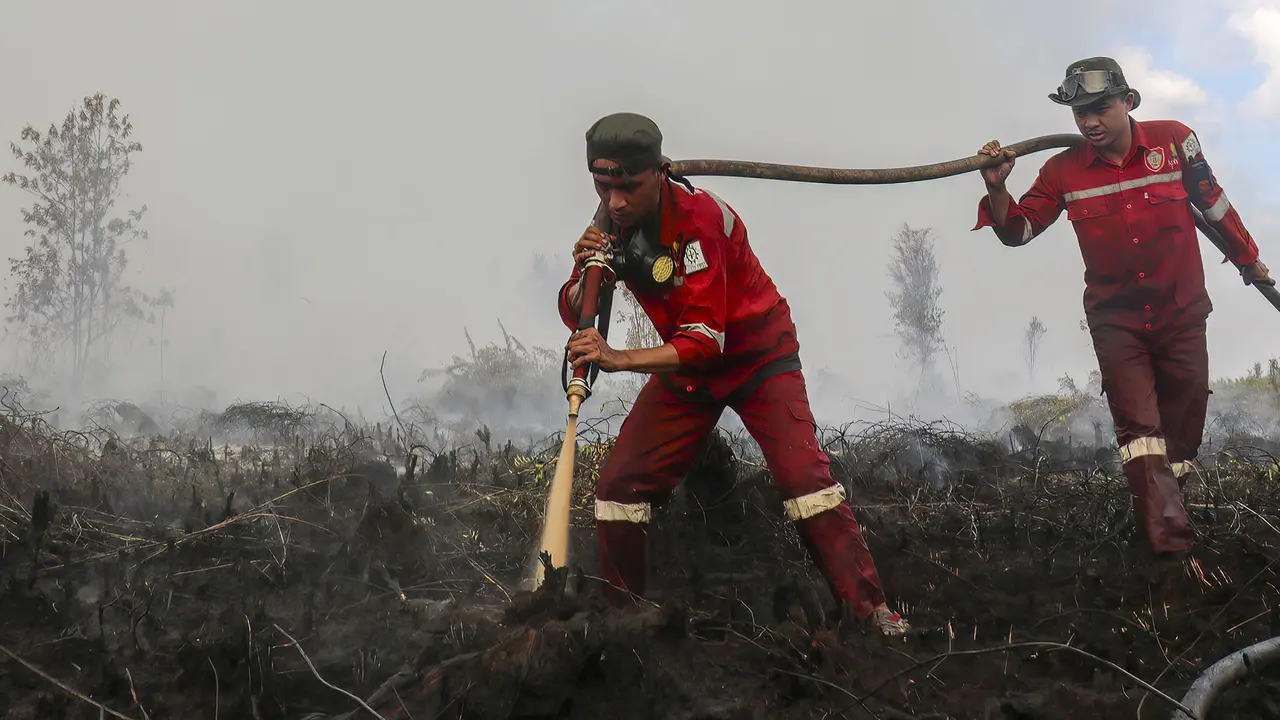 Update Sebaran Hotspot Kebakaran Hutan, Kalimantan Tengah Catat Angka Tertinggi