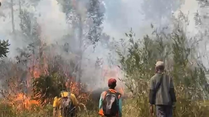 Komisi IV DPR Soroti Pekerjaan Besar BPGMN, Pemulihan Gambut Didorong untuk Cegah Karhutla Berulang