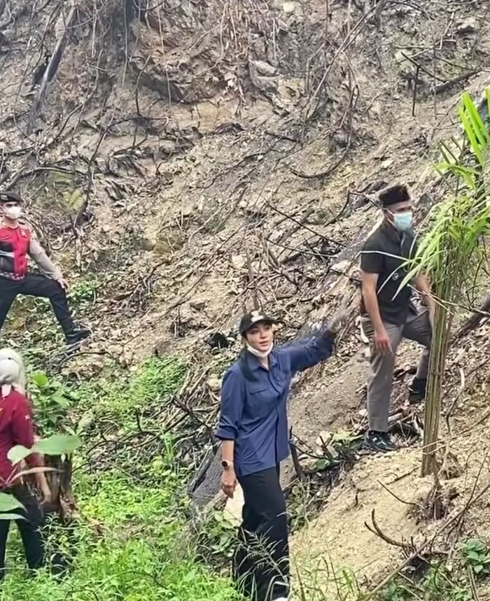 Lahan Bekas Karhutla di Dharmasraya Ditanami Sawit, Polisi Pasang Garis Pembatas dan Selidiki Pelaku