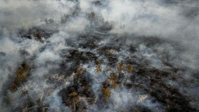Kalimantan Berduka Dilanda Karhutla, Api Meluas di Tanjung Puting dan Kabut Asap Ancam Kesehatan Warga