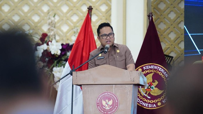 Darmawangsyah Muin Resmi Jadi Plt Bupati Gowa Gantikan Husniah Talenrang, Ini Penjelasan Mendagri